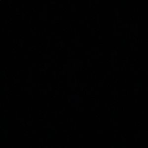 Meet your Posher, Yasmine